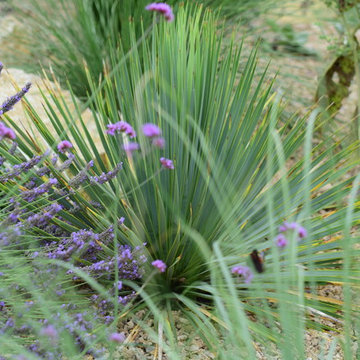 mediterraner Garten in Thüringen