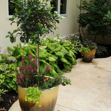 Summer Containers
