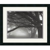 Cypresses, Skyline Drive, South San Francisco, 1996 Framed Print by Mark Citret