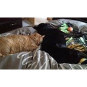 Marlo Wiebe's photo