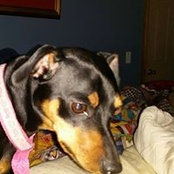 Anthony Reighard's photo