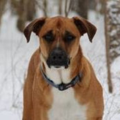 Kelly Winstead's photo