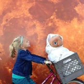 Foto von Joanne Stevens