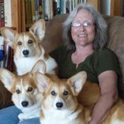 Karen Dimaio's photo