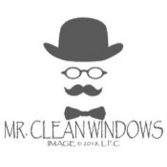 Mr. Clean Windows
