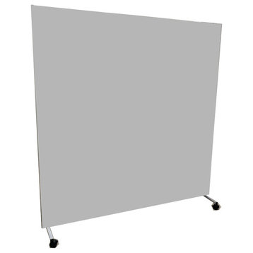 Shatterproof Portable Mirror, Rolling Stand and reversible white board