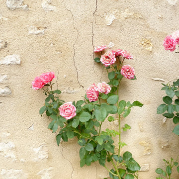 Château Rejuvenation | Saint-Gaultier, France | Simple Vintage & Restoration
