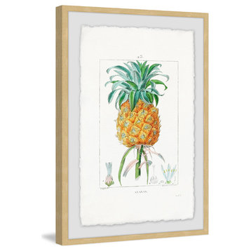 "Botanical Pineapple" Framed Painting Print, 12"x18"