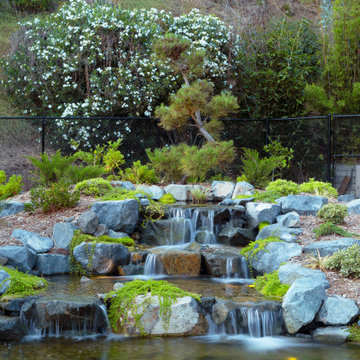 25′ x 30′ Ecosystem Koi Pond | Wide Split Waterfalls