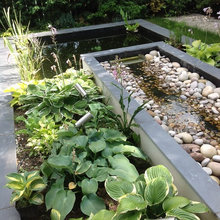Water Features