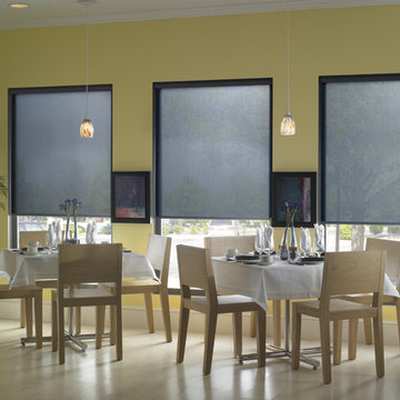 Roller Shades
