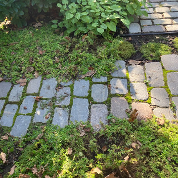 Stadtvilla mit hübschem Garten