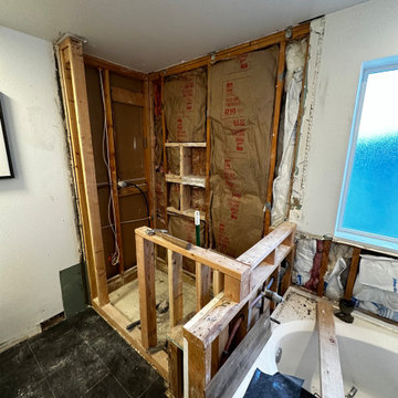 Master Bathroom Remodel