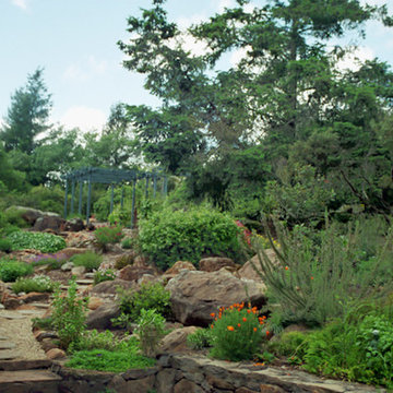 Water Conserving Gardens & Xeriscape