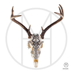 ARMORED DEER SKULL - Sculptures