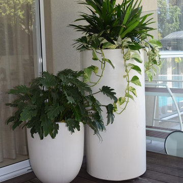 Woodlands Garden Makeover