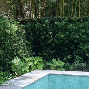 Green Hideaway