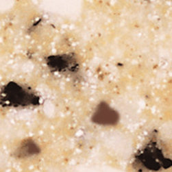 Staron Colors - Kitchen Countertops