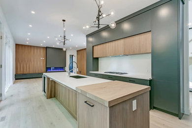 Kitchen - modern kitchen idea in Toronto