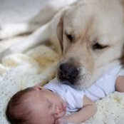 Peter Adel's photo