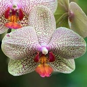 Donna Vee's photo