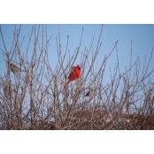Mary Hart's photo