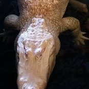 Steven Broaddus's photo