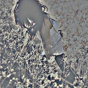 Laura Kontante's photo