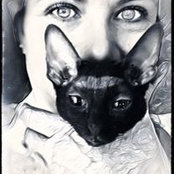 Judith Coffin's photo