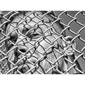 Michael Kantor's photo