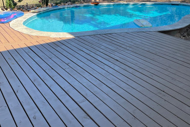 Modelo de piscina alargada actual de tamaño medio rectangular en patio trasero con paisajismo de piscina, privacidad y adoquines de hormigón