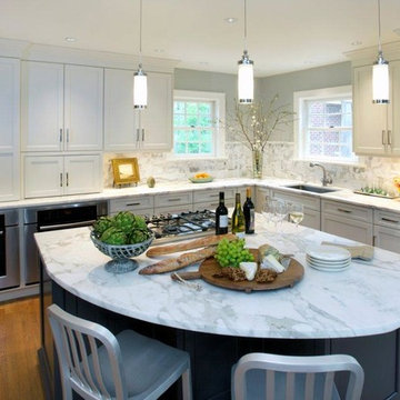 Alexandria Virginia Kitchen Renovation