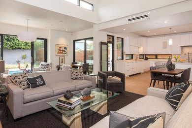 Living room - contemporary living room idea in San Diego