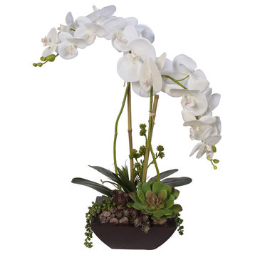 Phalaenopsis Silk Orchids With Succulents and Rocks in Modern Metal Container