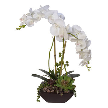 Phalaenopsis Silk Orchids With Succulents and Rocks in Modern Metal Container
