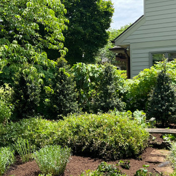 Native Plant Transformation of a HOA restricted landscape