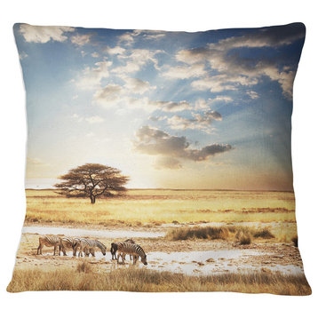African Zebras Drinking Water African Throw Pillow, 16"x16"