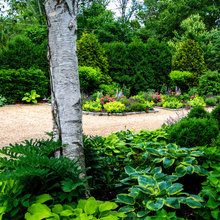 Front yard landscape