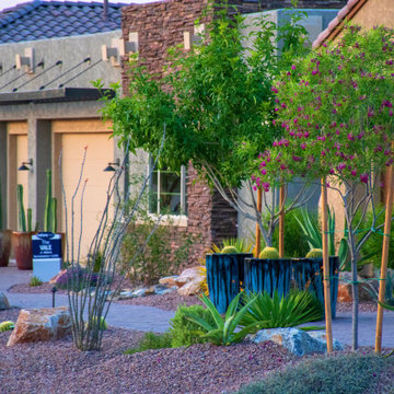 A Stroll through a Tucson Neighborhood
