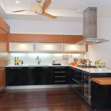 Contemporary Kitchen