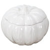 Round Ceramic Pumpkin Soup Bowl With Lid, White