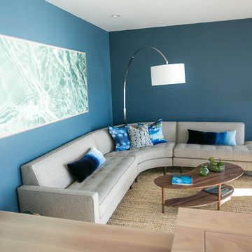 La Jolla Beach Penthouse Interior Color Palette