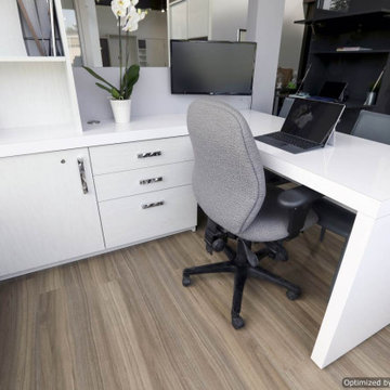 M2004 Winter Fun Desk With High Gloss Desktop