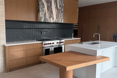 1960s kitchen photo in Phoenix