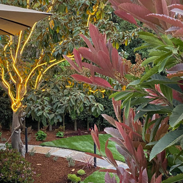 La Jolla Restoration