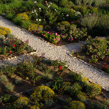 garden ideas