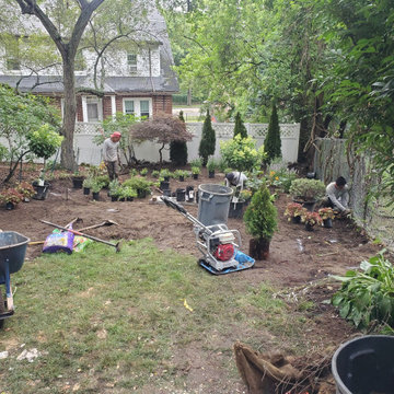 Shady back yard in Jamaica Plain