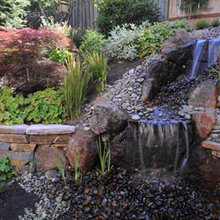Landscape Ideas