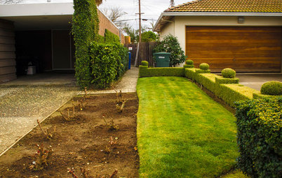 Where Front Yards Collide: Property Lines in Pictures