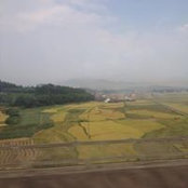 Yan Yaos foto
